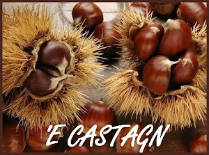 CASTAGNE DI MONTELLA