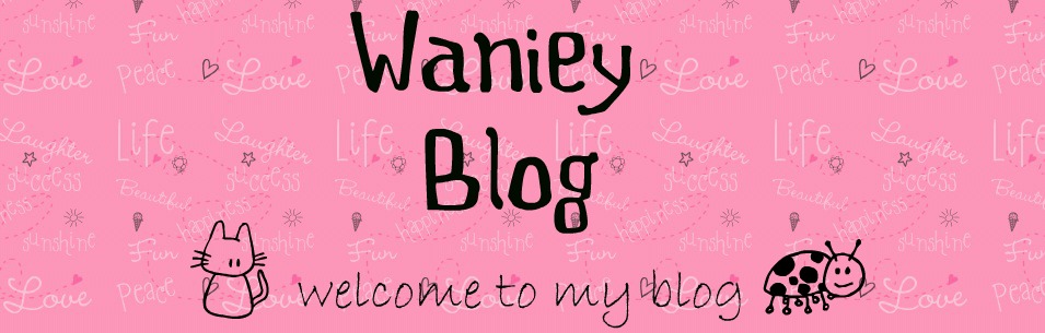 waniey blog
