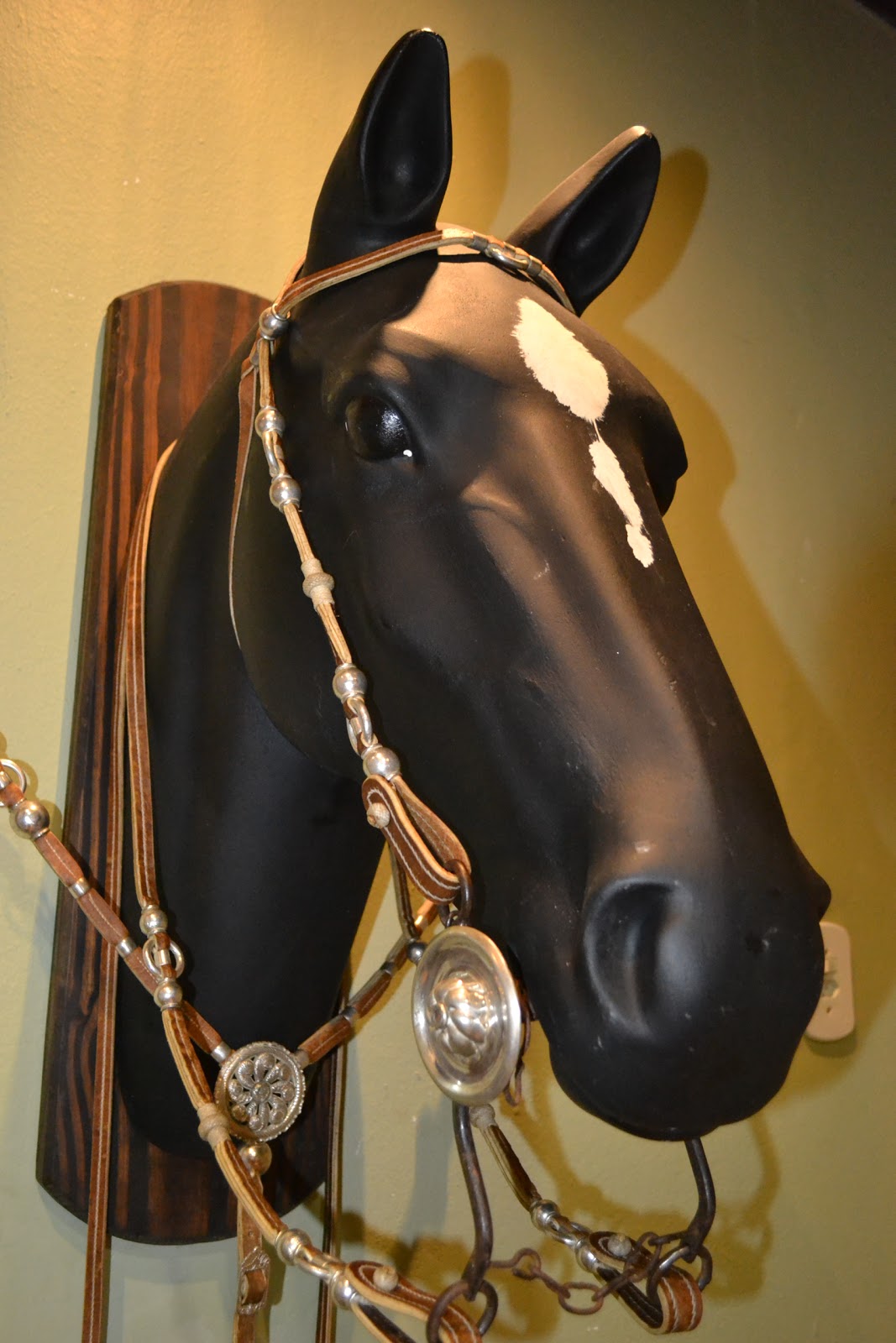 EL TRENZADOR - Blog sobre soguería criolla: La Pampa ...