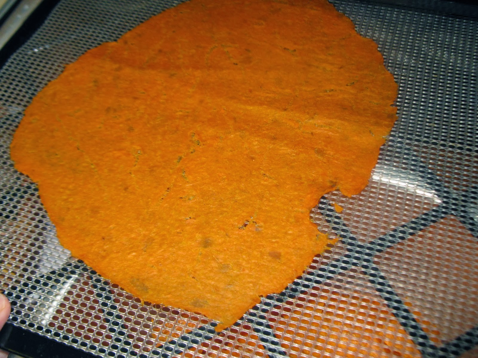 Simply Homemaking Dehydrating sweet potatoes...