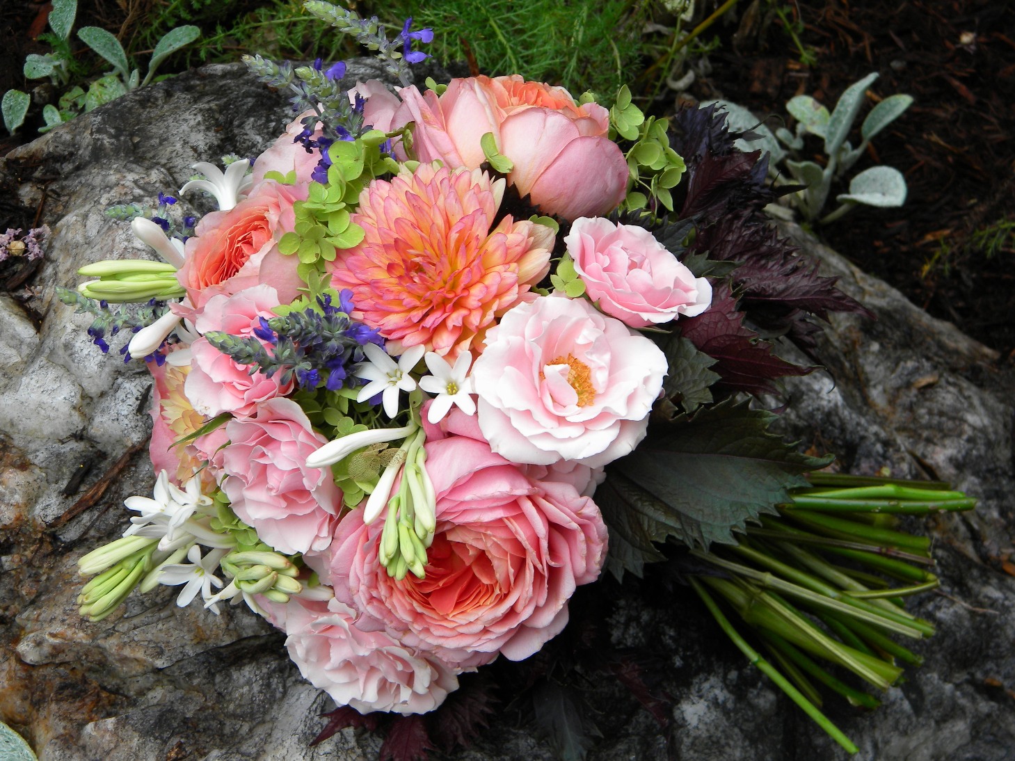 Wedding Flowers from Springwell Tuberose A Seductive Fragrance for