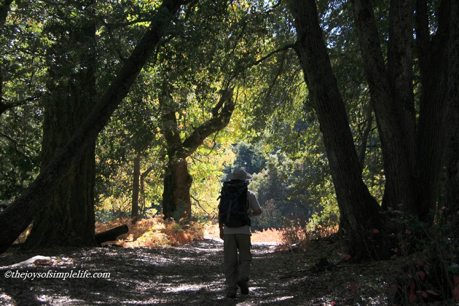 The Joys of Simple Life My Top Ten San Diego Hikes (9) Palomar