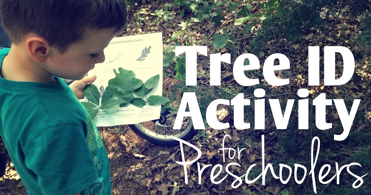 OutdoorsMom Tree Identification Nature Walk for Preschoolers (free