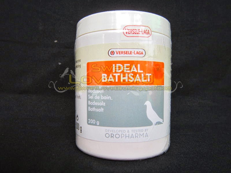 Ideal2002.JPG