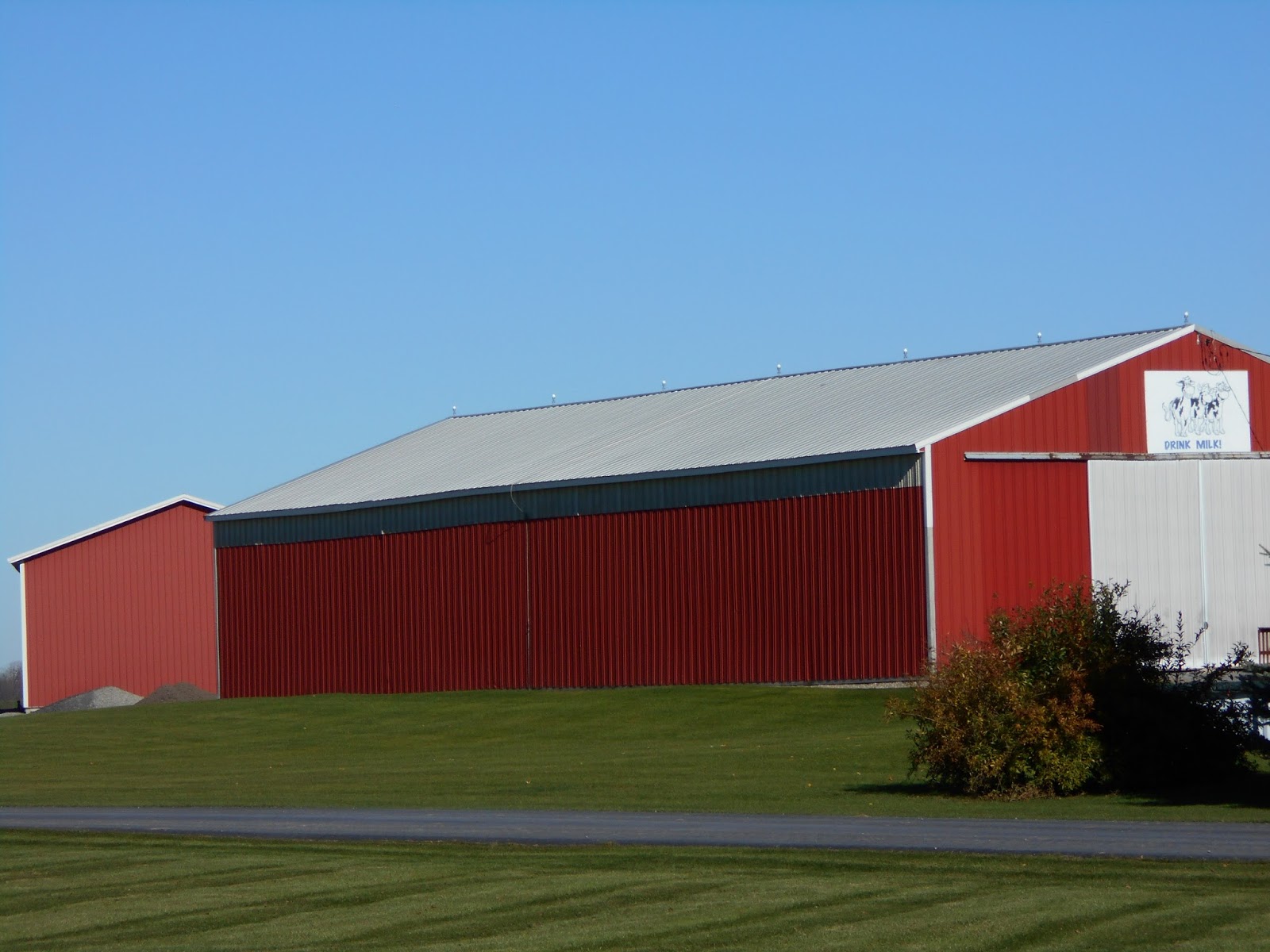 New York State of Mind LARGEST DAIRY FARM I EVER SAW