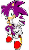 FLASH THE HEDGEHOG