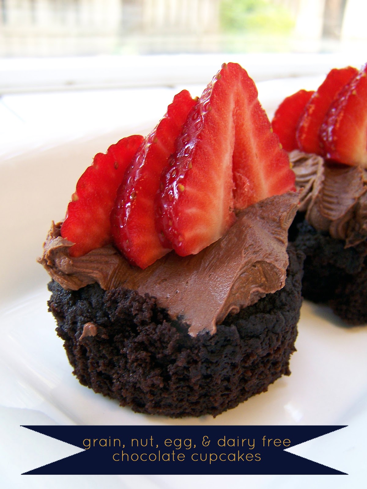 always underfoot grain, nut, egg, and dairy free chocolate cupcakes