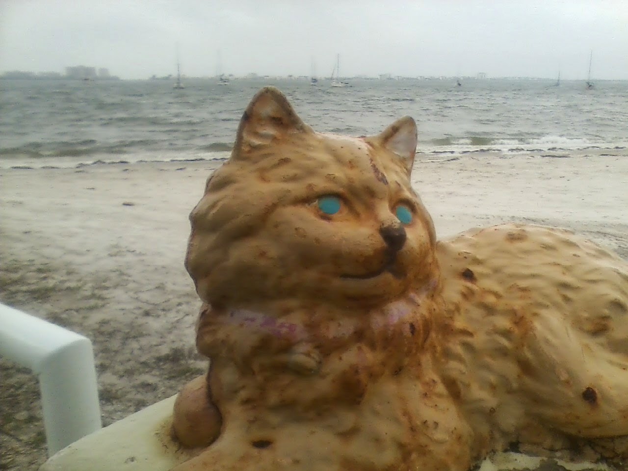 Morris the casino cat