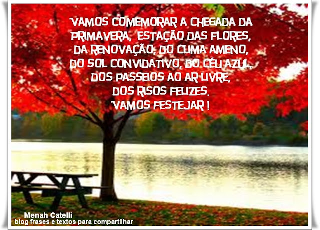 blog frases e textos pr compartilhar