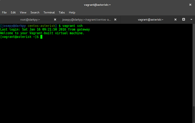 How to use existing virtual machines with Vagrant 6 vagrant ssh