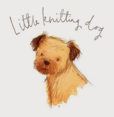 Little Knitting Dog