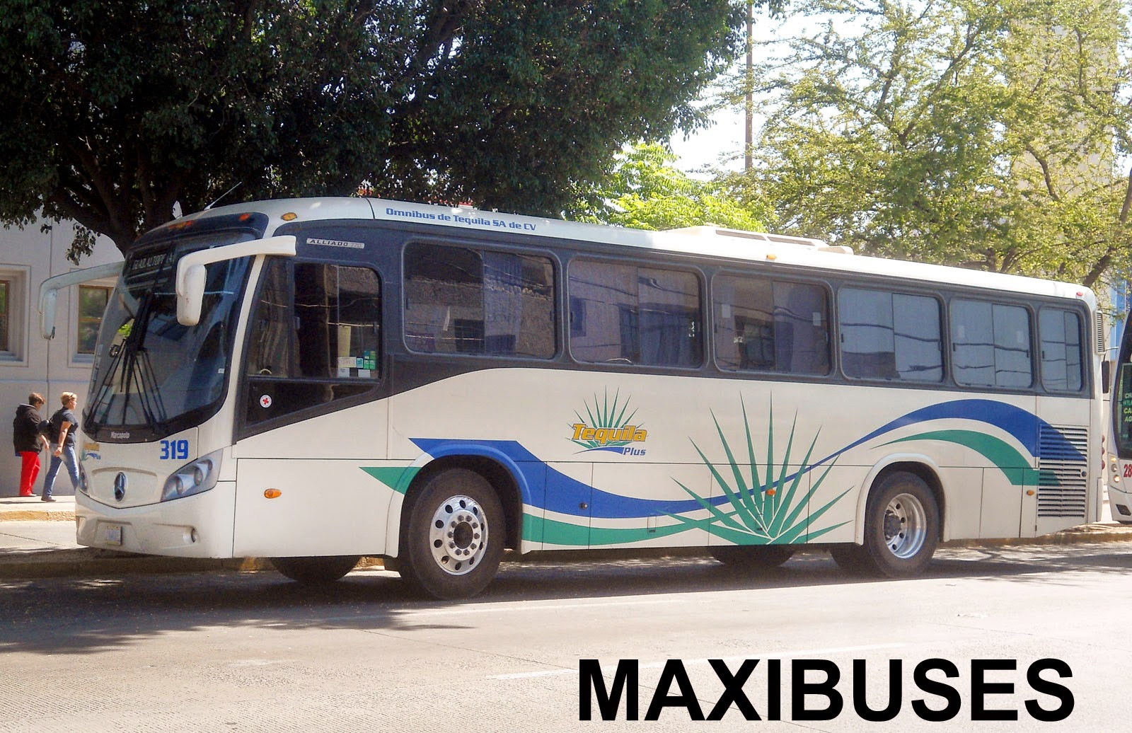 MAXIBUSES OMNIBUS DE TEQUILA, TEQUILA PLUS