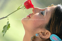 Rambha, hot, tamil, actress, milky, cleavage