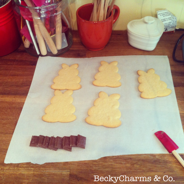 Easter Bunny Baking Preview with BeckyCharms Easter Bunny Baking Preview with BeckyCharms, 2013, beckycharms, San Diego, baking, Easter, life, California, lifestyle, Tiny Baker, bunnies, rabbits, Spring