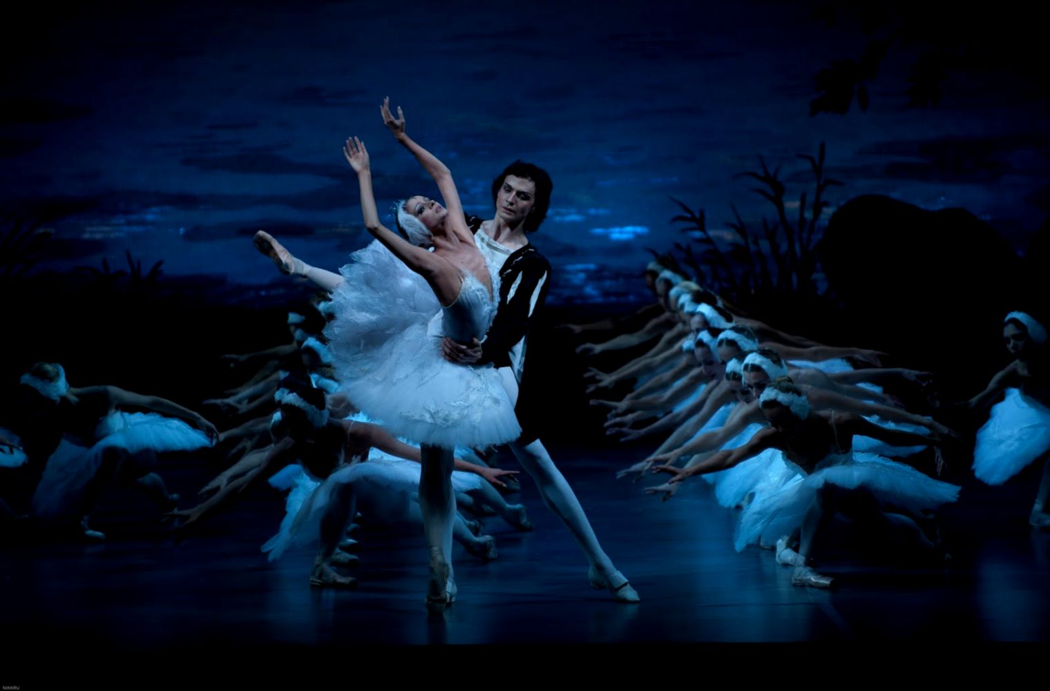 Swan lake ballet reviewed Ballet News Straight from the stage Swan lake ballet reviewed Ballet News Straight from the stage