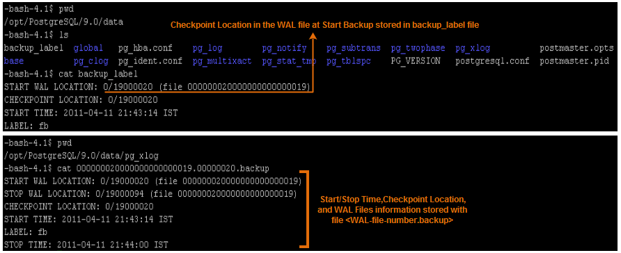 Psql Notes For Windows Users