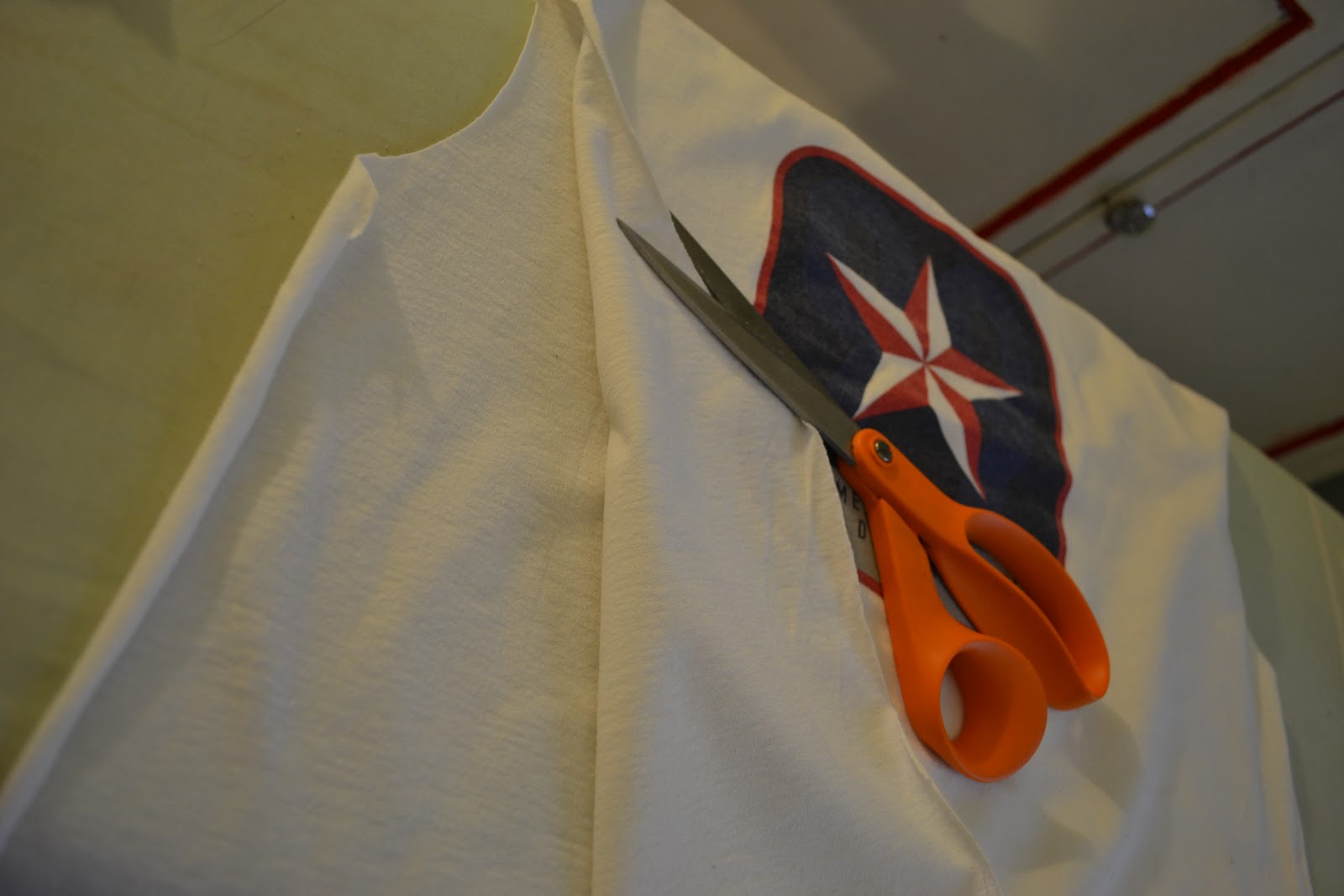 organic aspirations TShirt Throw Tutorial