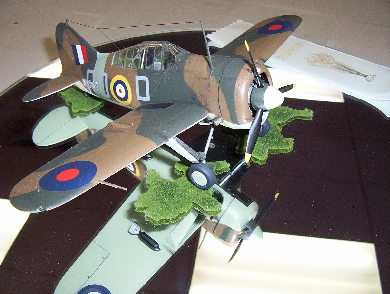 Scale Model Hobby BREWSTER B339, BUFFALO