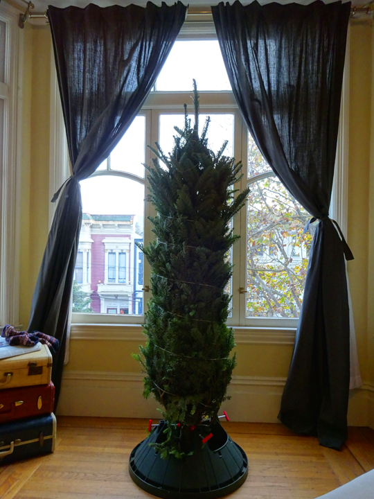 EmilyStyle How to Get a Christmas Tree in San Francisco