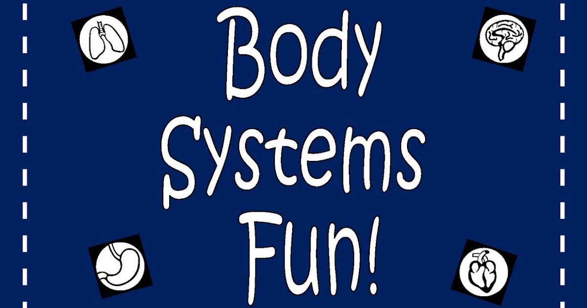 Engaging Lessons And Activities: Body Systems Activities