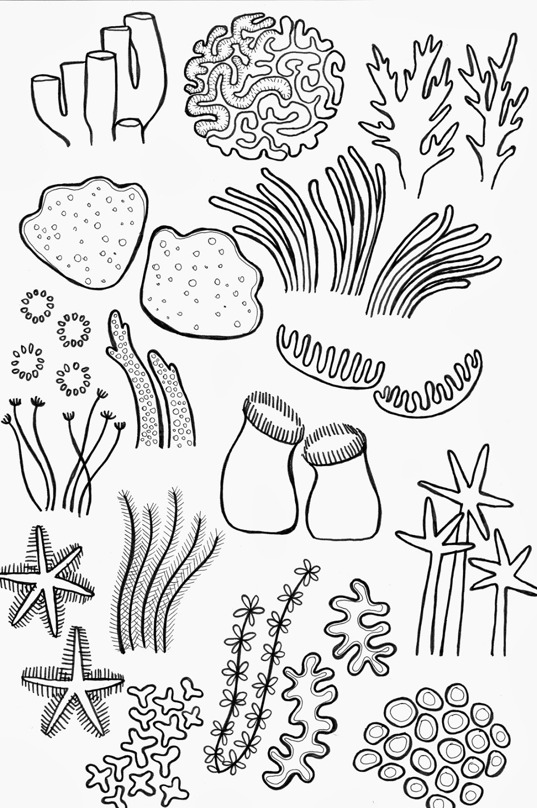 Cartoon Coral Reef Ecosystem Drawing | Free Printable Math Worksheets