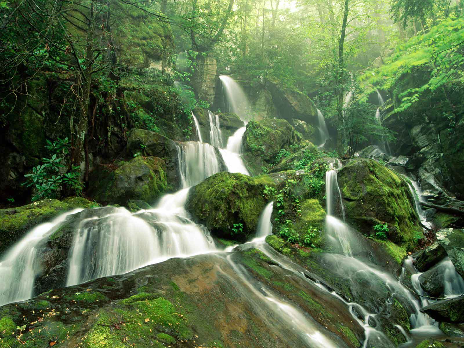 beautiful computer backgrounds