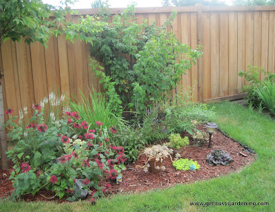 Two separate garden areas before