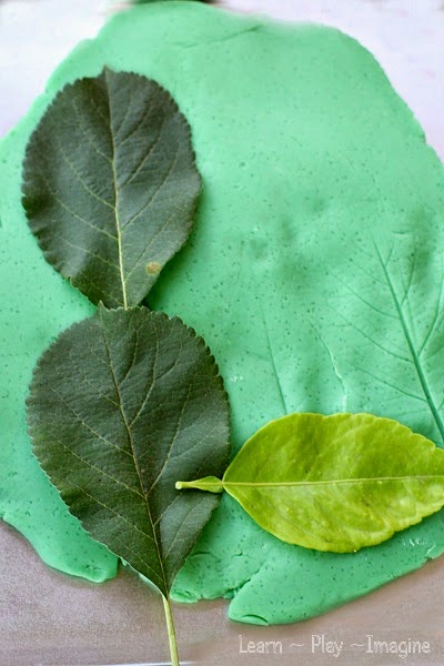 Making letters out of leaves with playdough - play based fall activities for preschool and kindergarten
