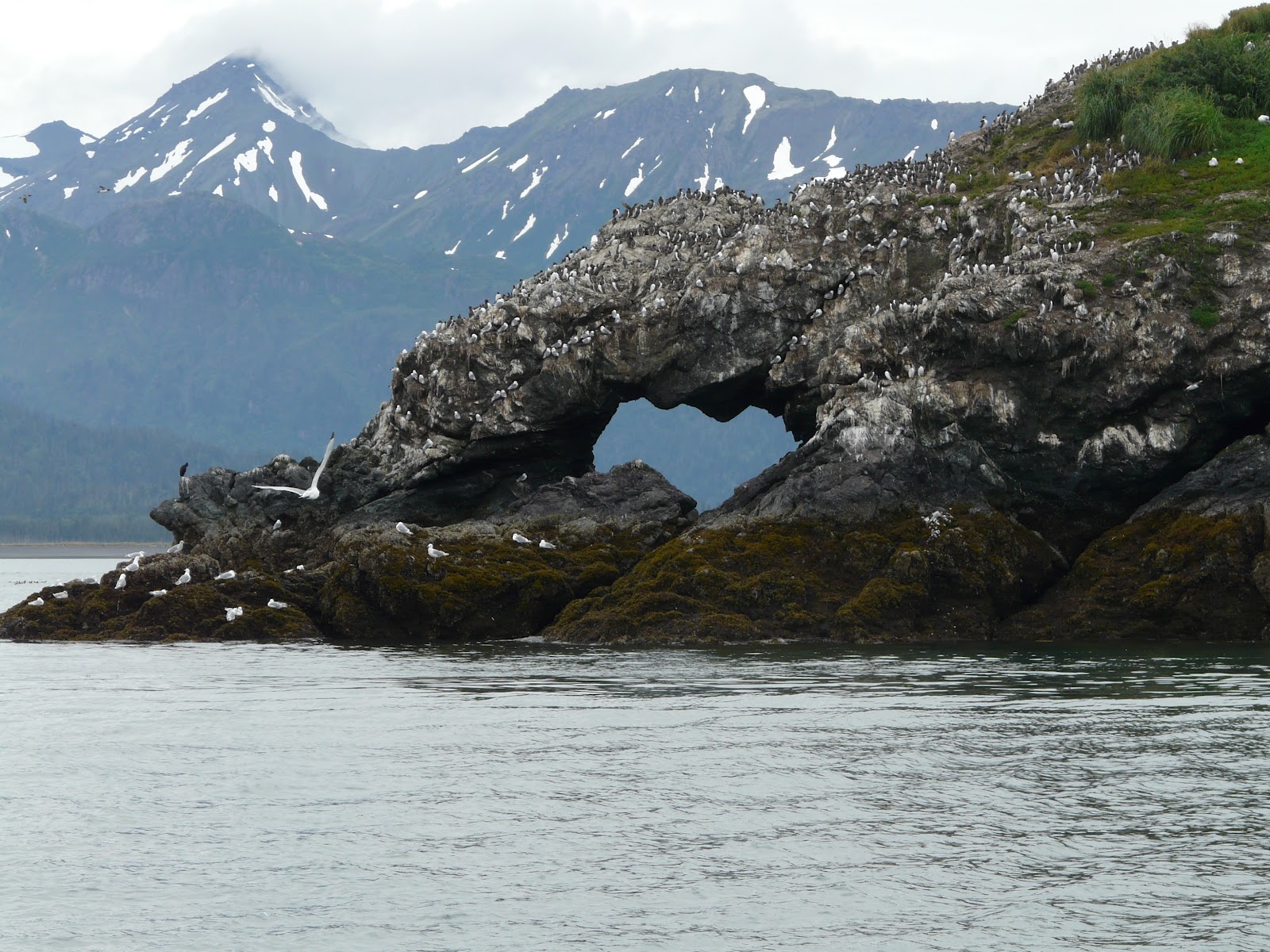 Tripping with MikenJudy 2012 Kenai Peninsula Ninilchik, AK & Homer, AK