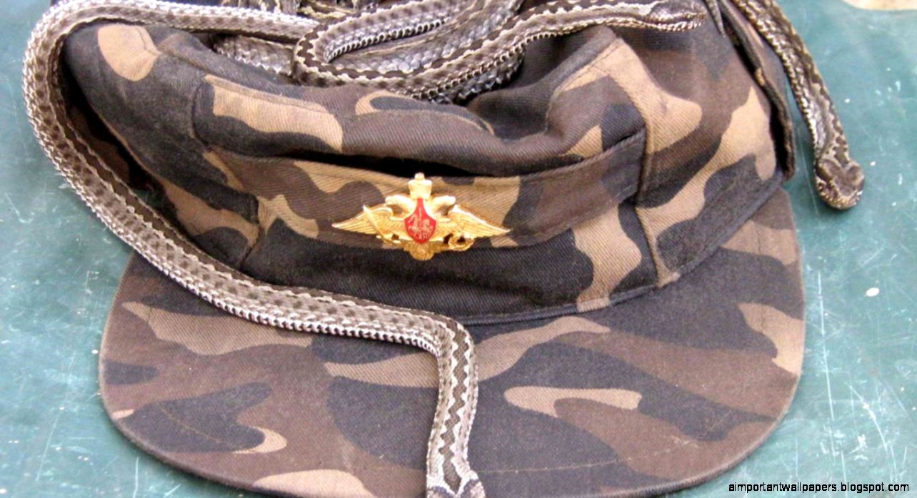 640x360 wallpapers Page 1309 Cat Cali Window Sitting Cute 640x360 wallpapers Page 1309 Cat Cali Window Sitting Cute