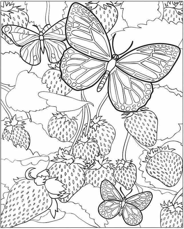 COLORING BOOK BUTTERFLY (5) FOR OUR HOMELESS CHILDREN title=