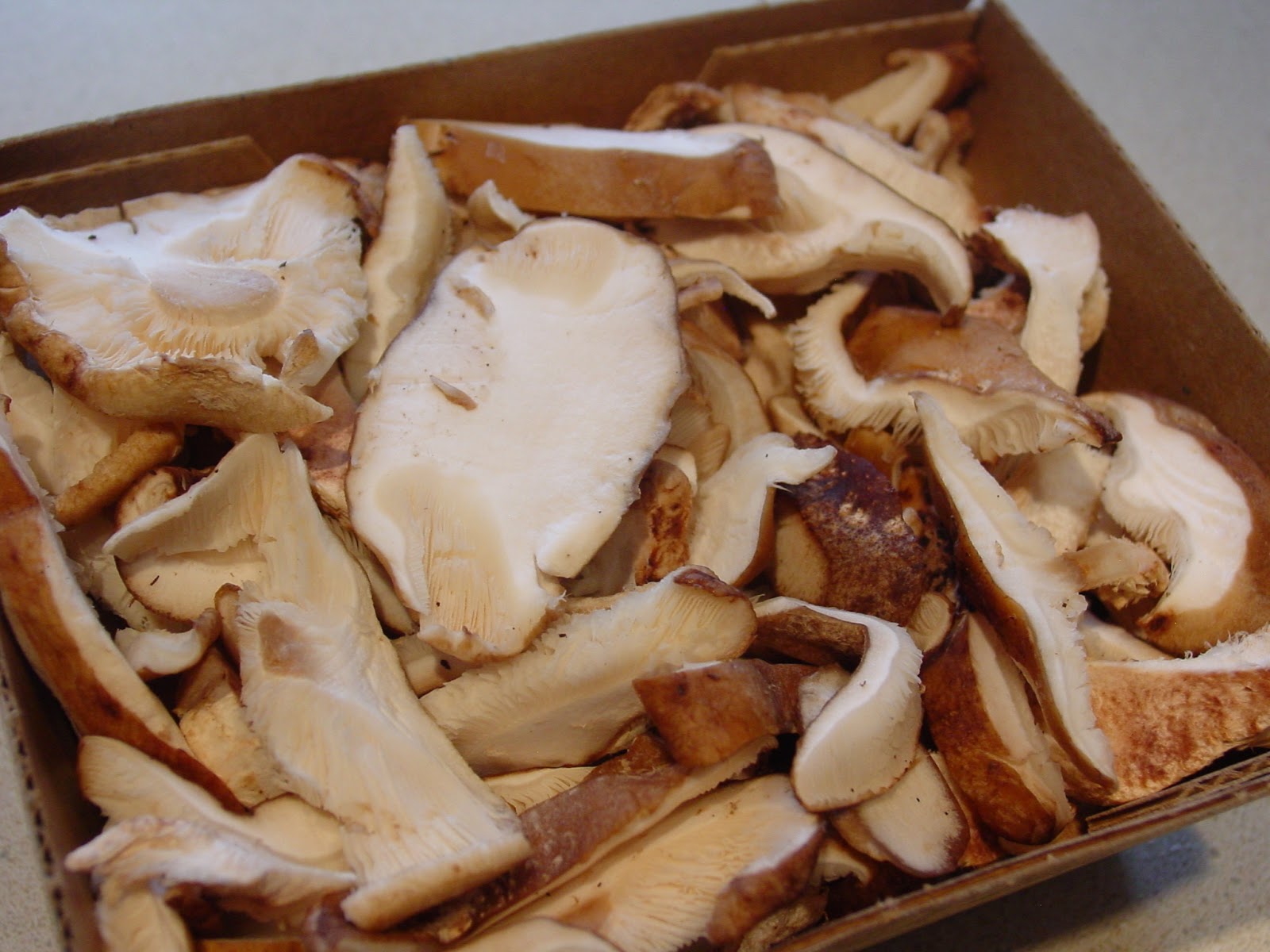 The Dirty Floor Goat Cheese and Shiitake Mushroom Tart