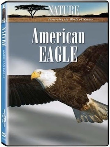 American EAGLE-HD