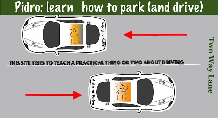 Pidro: Learn to Park (and drive)