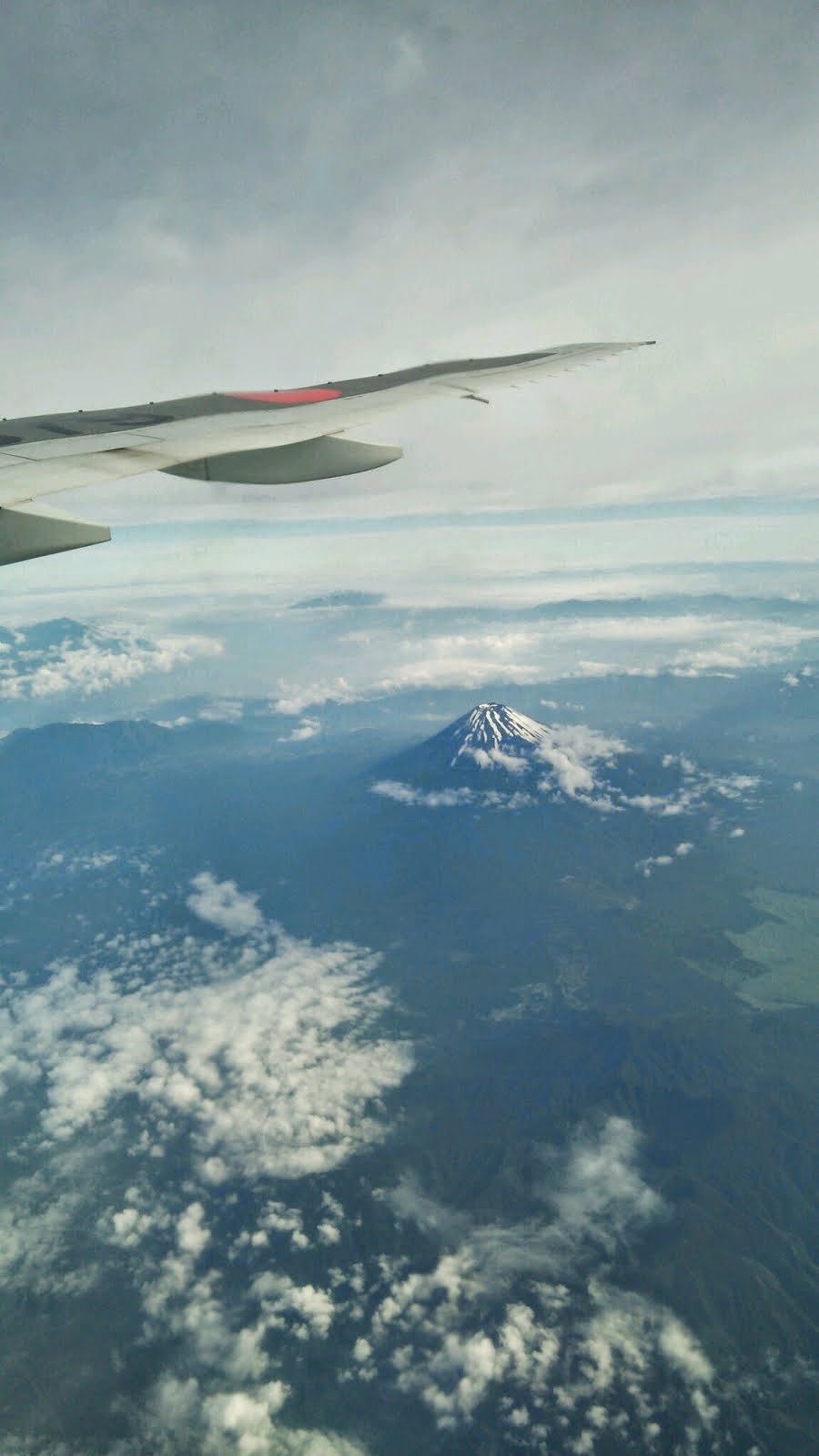 岩とむし２ ガンバルクイナ