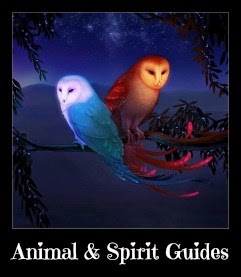 Animal & Spirit Guides