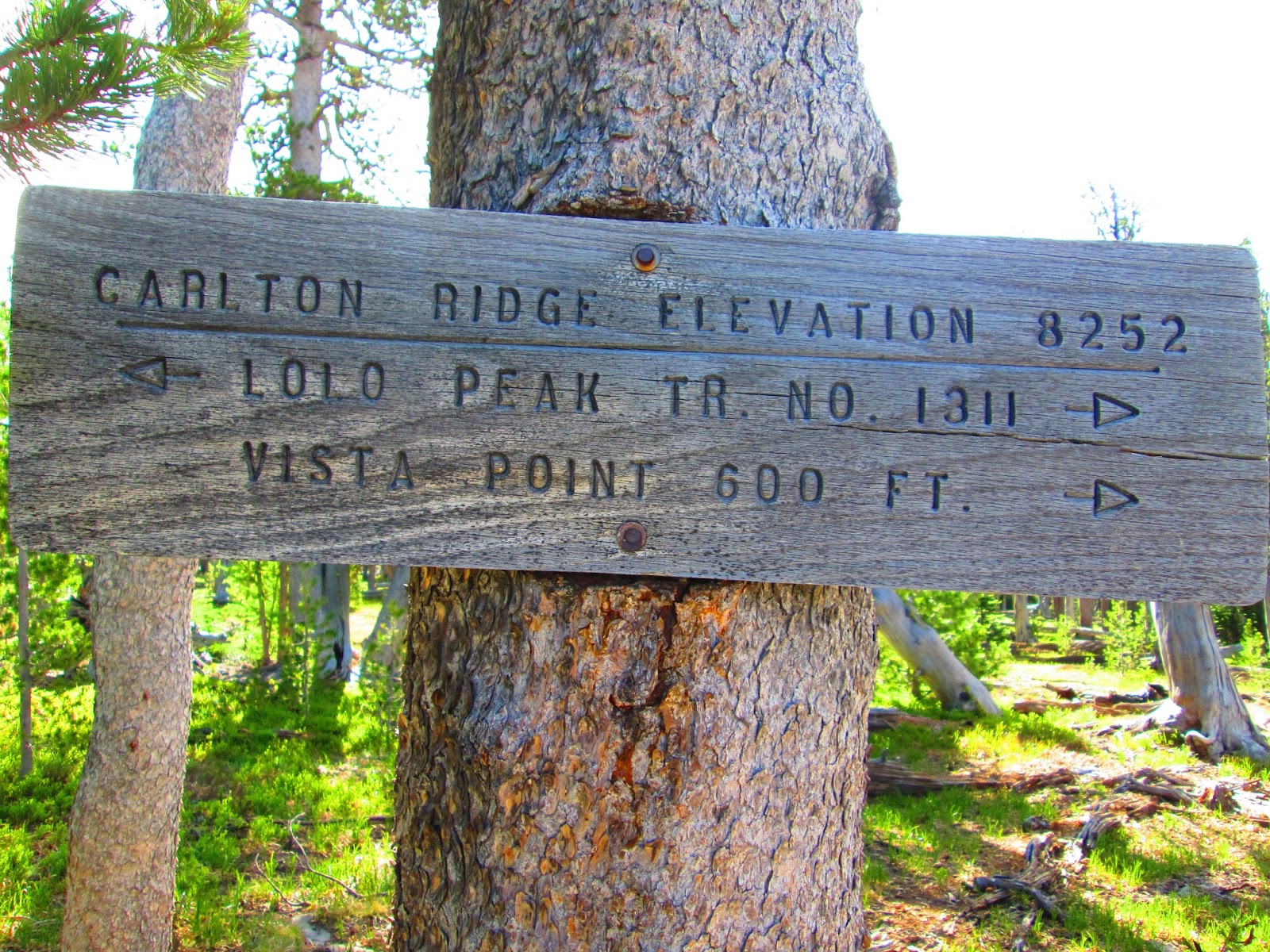 (This is) The Story of a Girl Lolo Peak