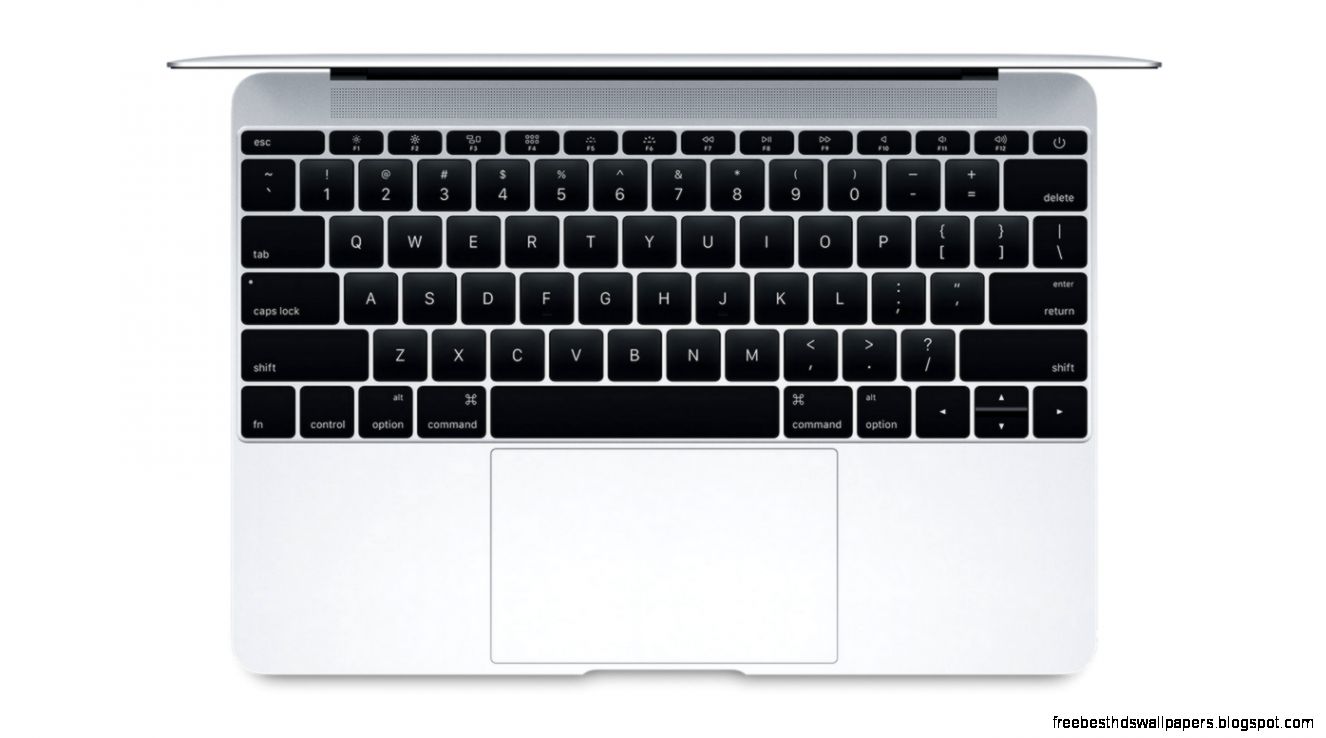 New “Butterfly” keyboard switch in next gen Apple MacBooks New “Butterfly” keyboard switch in next gen Apple MacBooks
