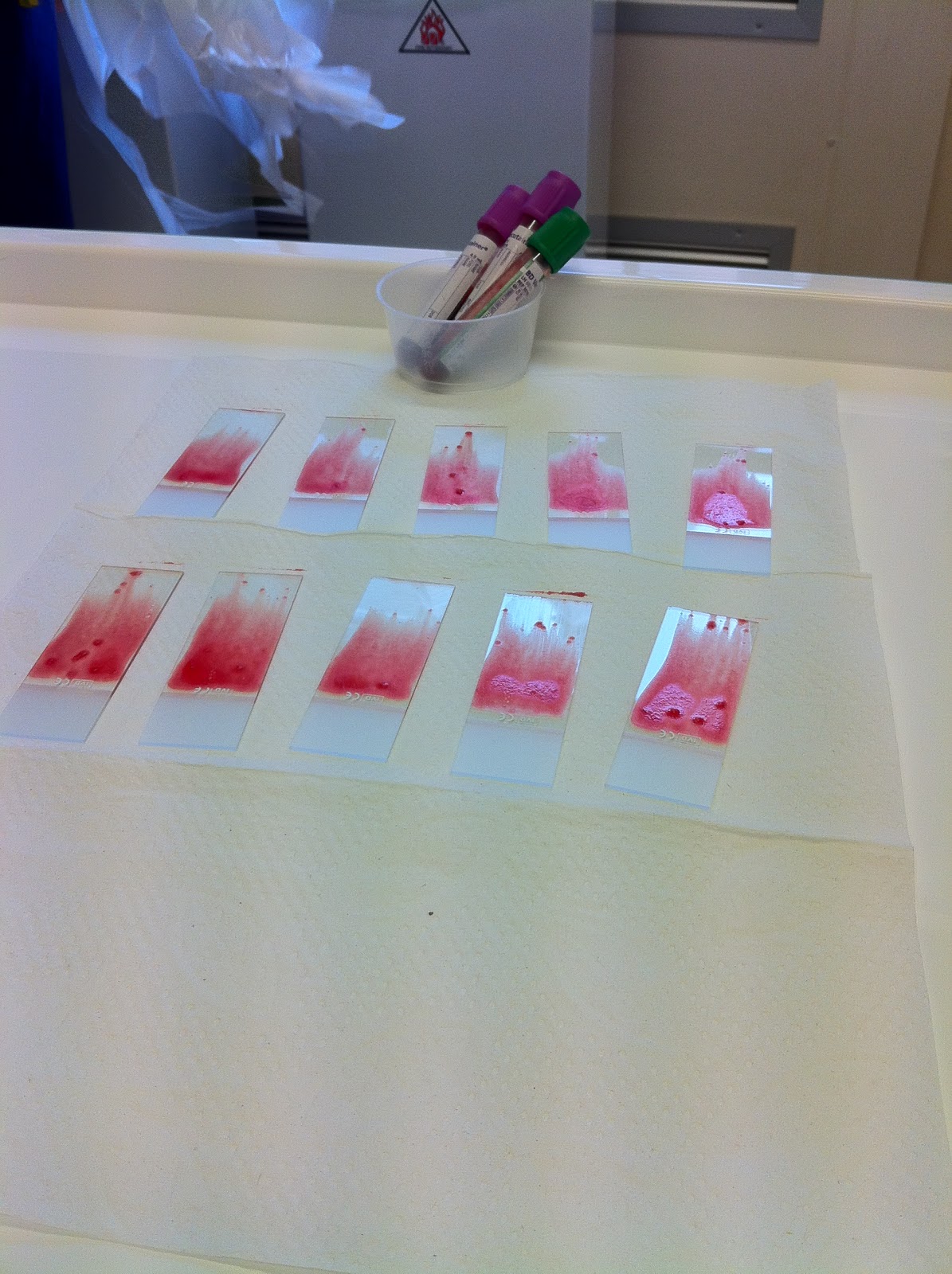 Leaning Towards The Light February 2012