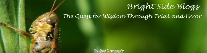 Bright Side Blogs: The Quest For Wisdom Through Trial and Error