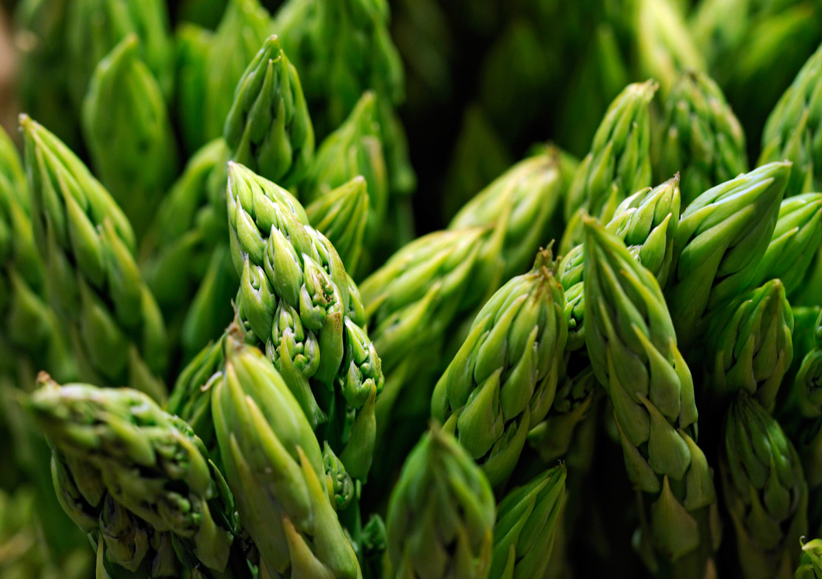 Asparagus Vegetable Natural Beauty