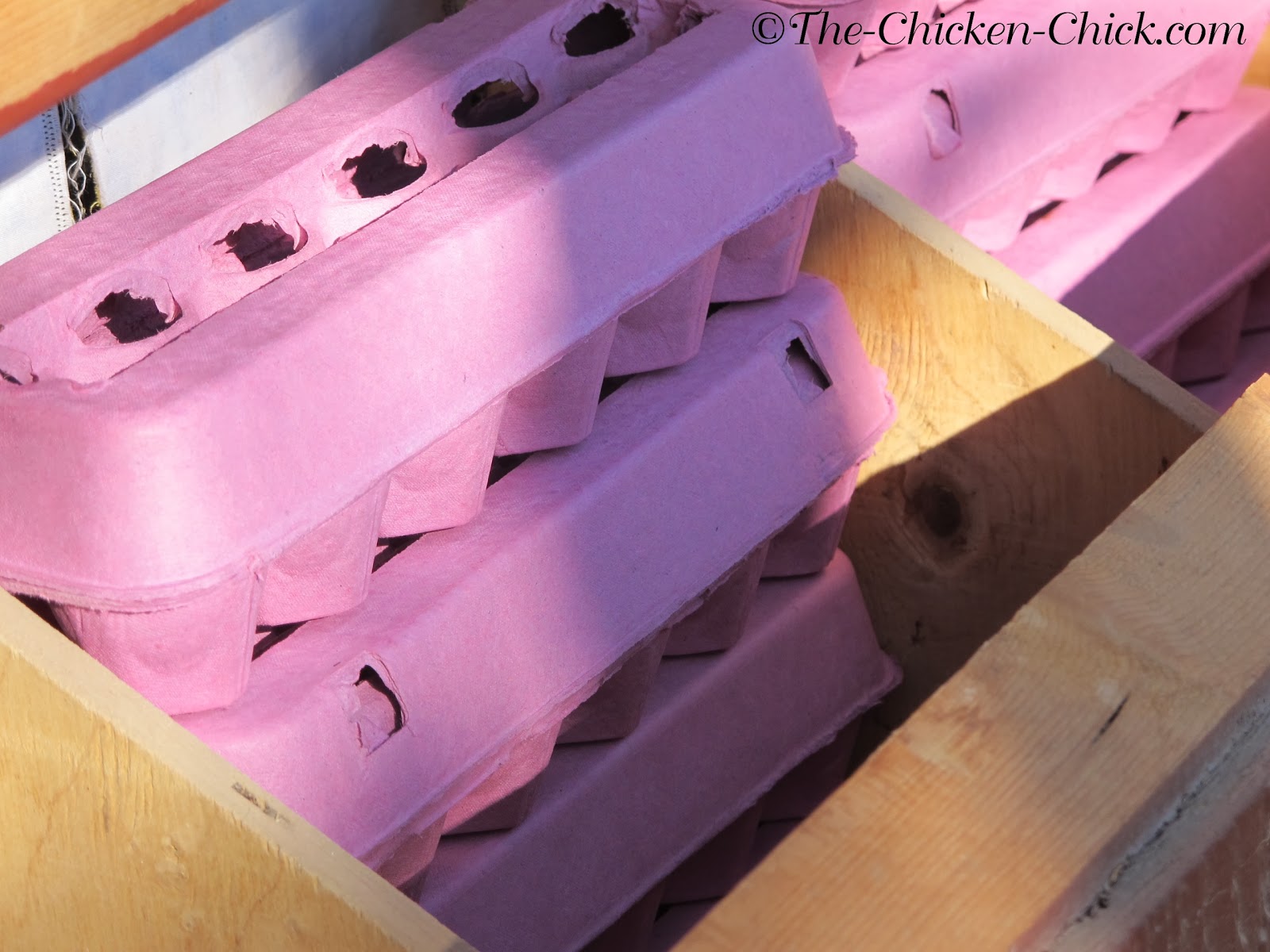 When to Move Chicks from Brooder to Chicken Coop Egg cartons stacked inside nest boxes prevent chickens from sleeping in them