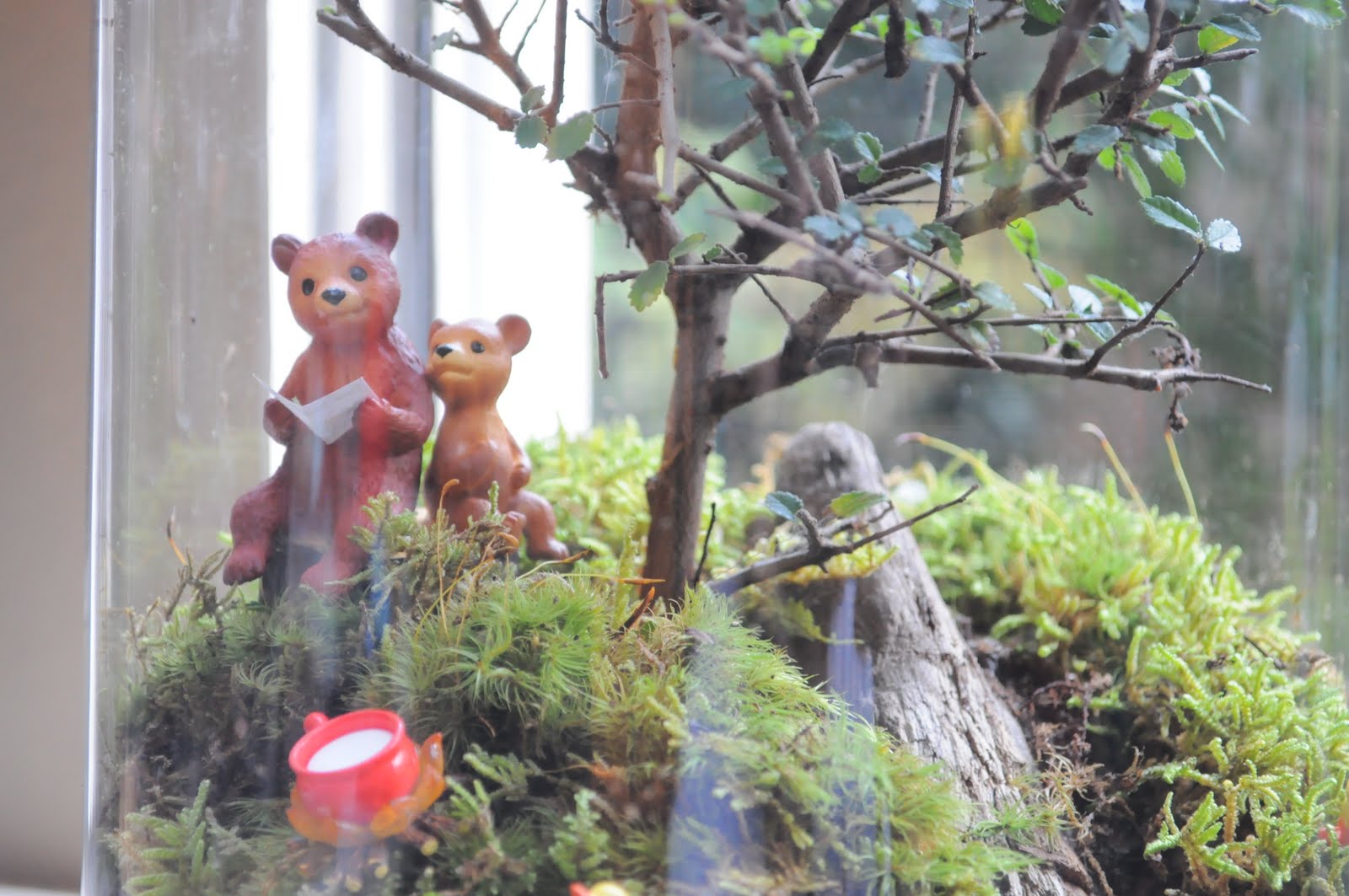 Terrarium & Timmy New story telling Terrarium