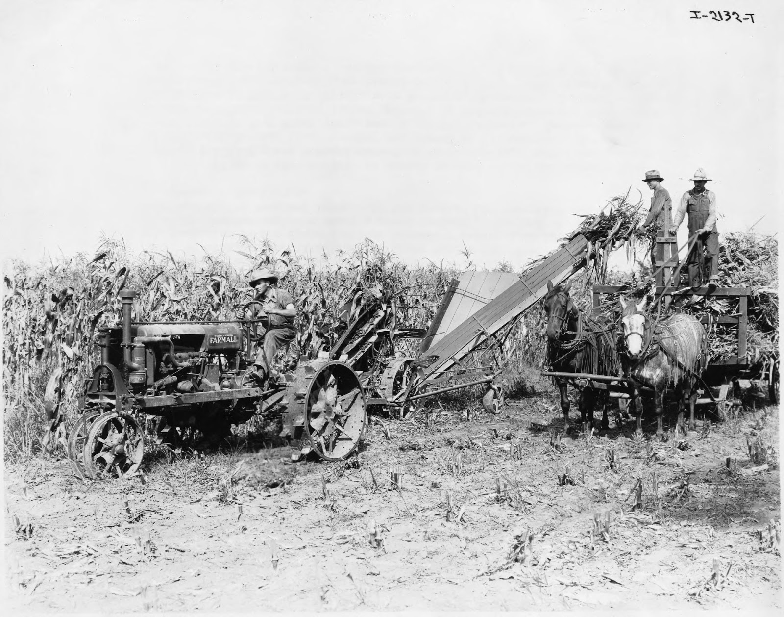 Grandpa Sid JACK FROST FLASH BACK