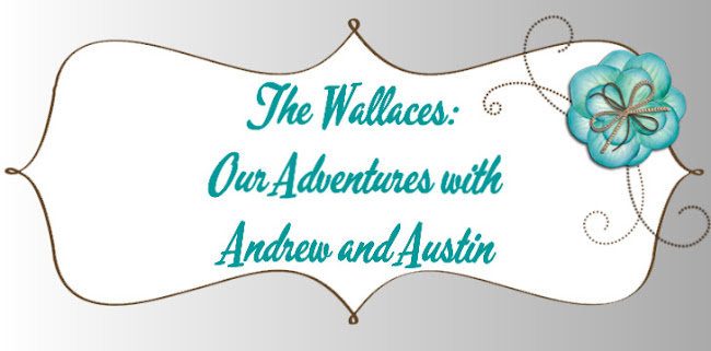 The Wallaces: Adventures with Andrew and Austin