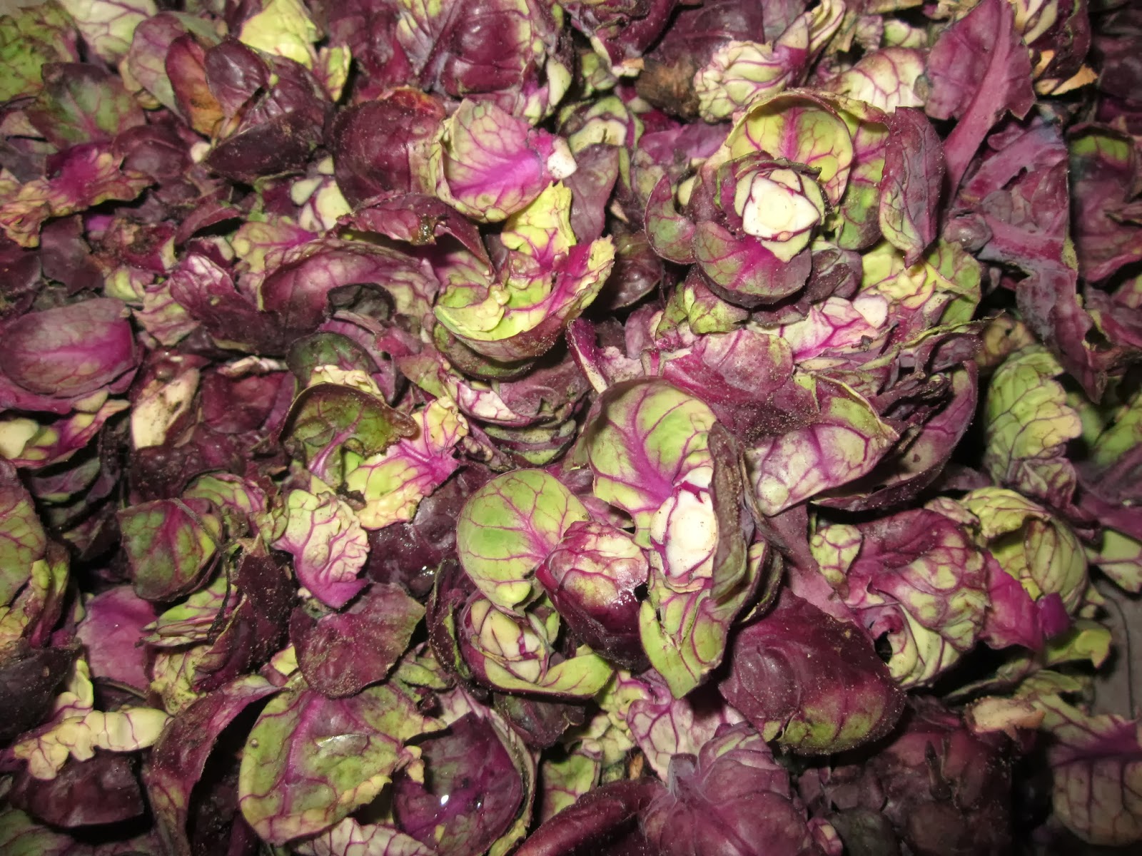 Huis tuin en keuken: februari 2014