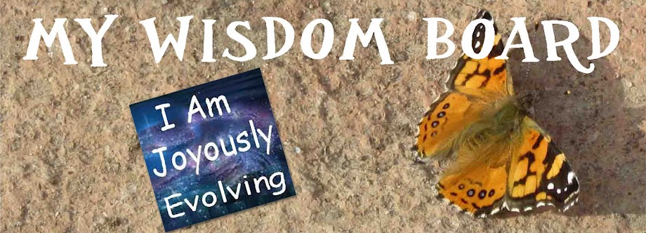                       My Wisdom Board Blog  