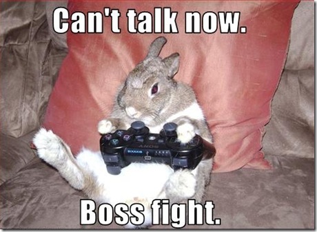 Funny Rabbit Photos
