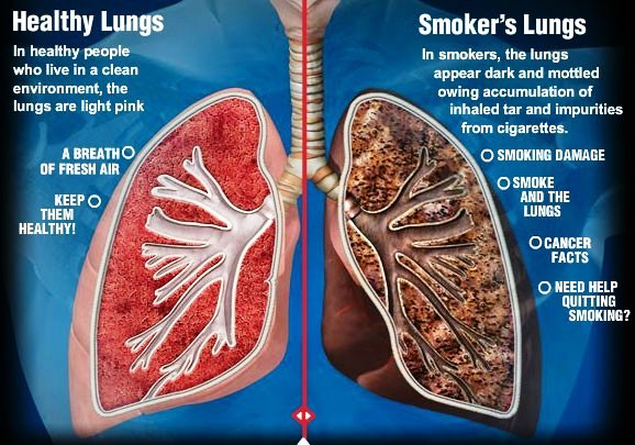 NICOTINE IS BAD NEWS