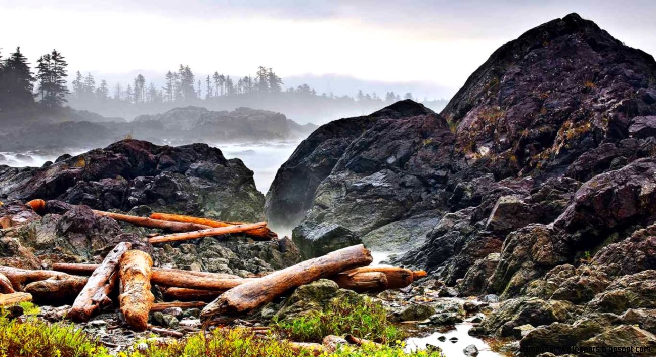 Nexus Wallpapers — Driftwood logs on the Pacific Coast Wild Nexus Wallpapers — Driftwood logs on the Pacific Coast Wild